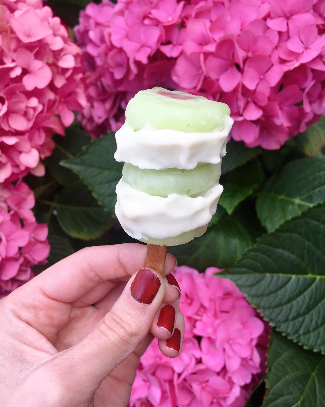 Homemade Vegan Twister Ice Lollies