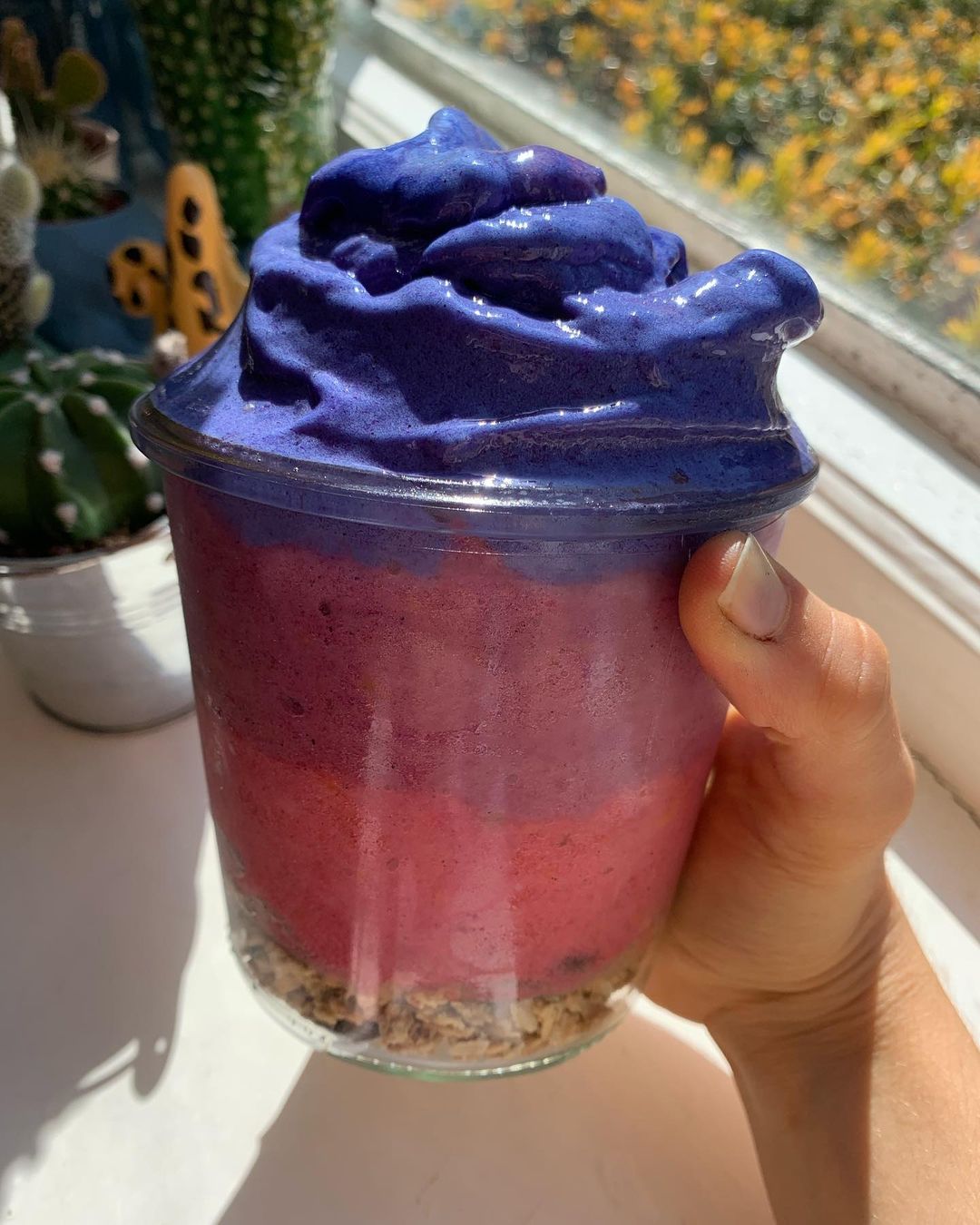 Tricolore Nice Cream