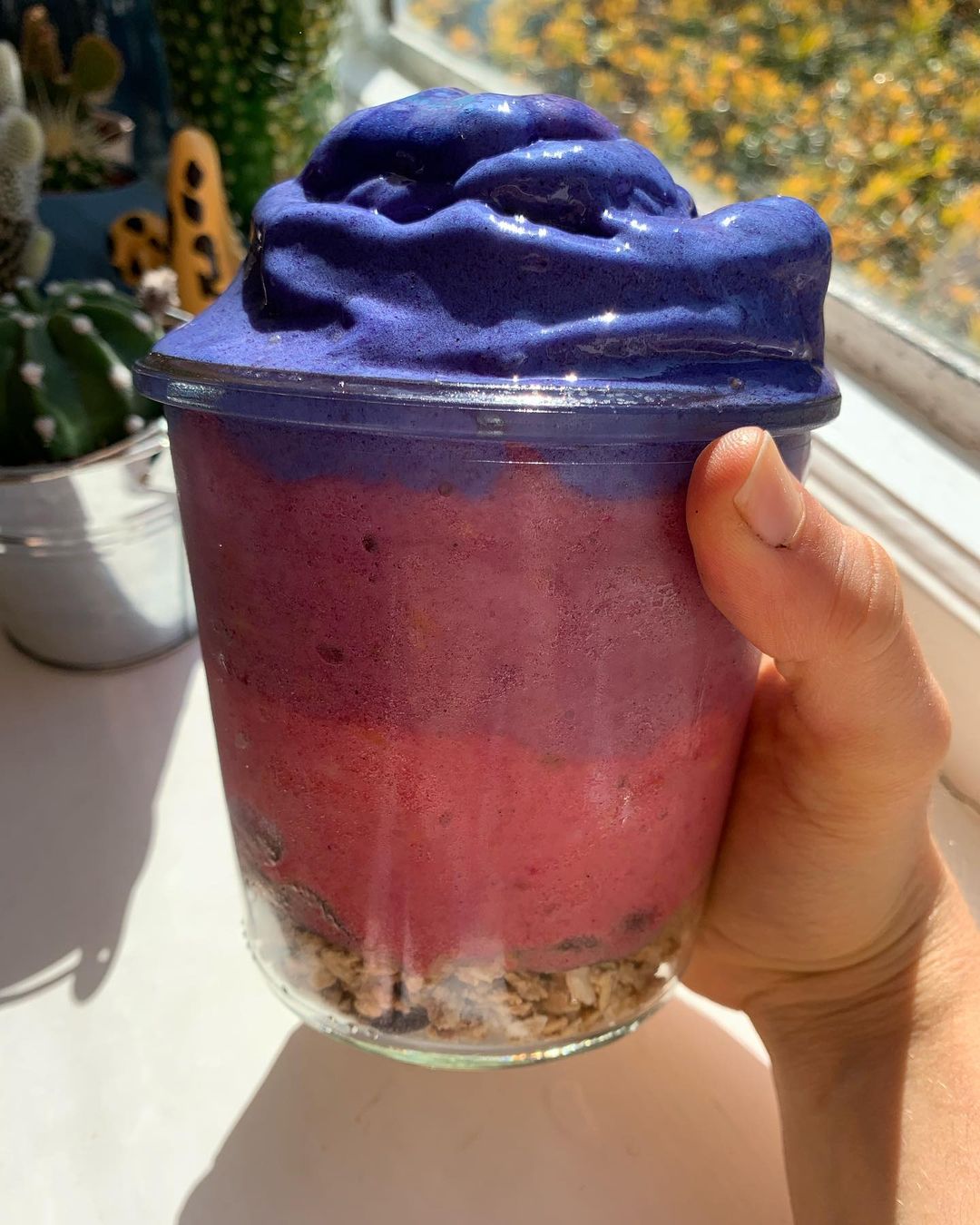 Tricolore Nice Cream