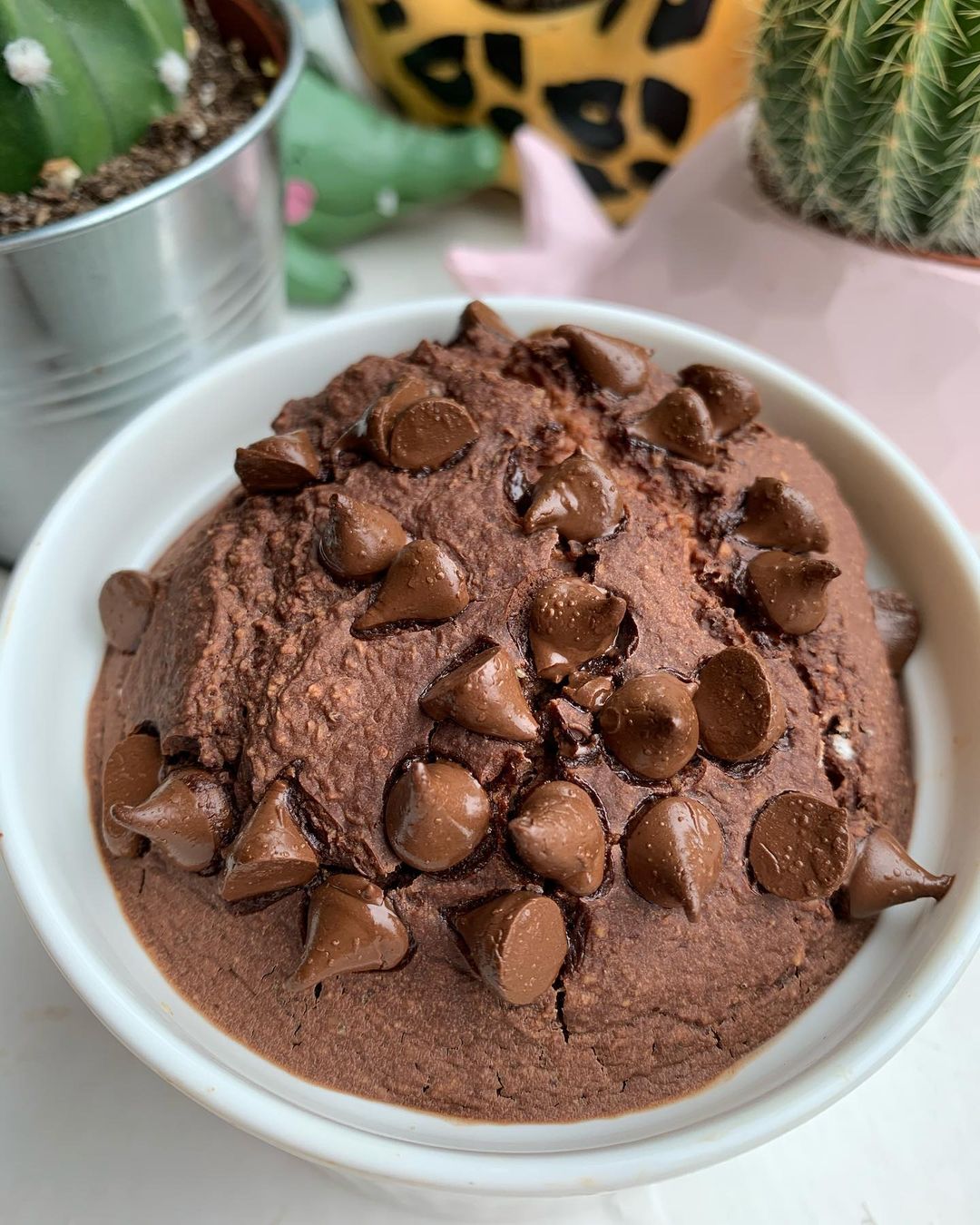 Chocolate Marmite Breakfast Baked Oat Cake