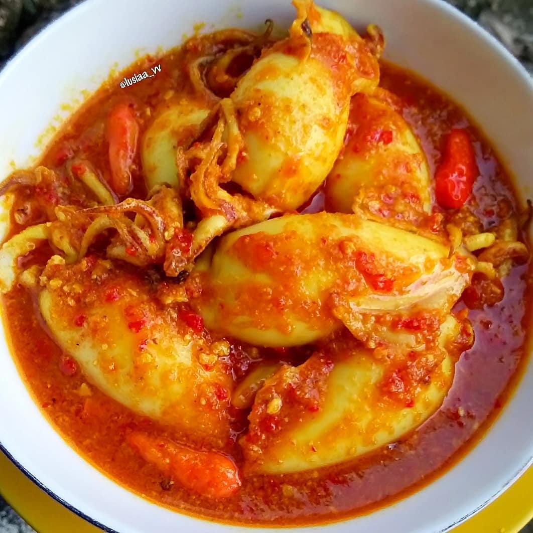 Spicy Squid Curry with Tofu Filling