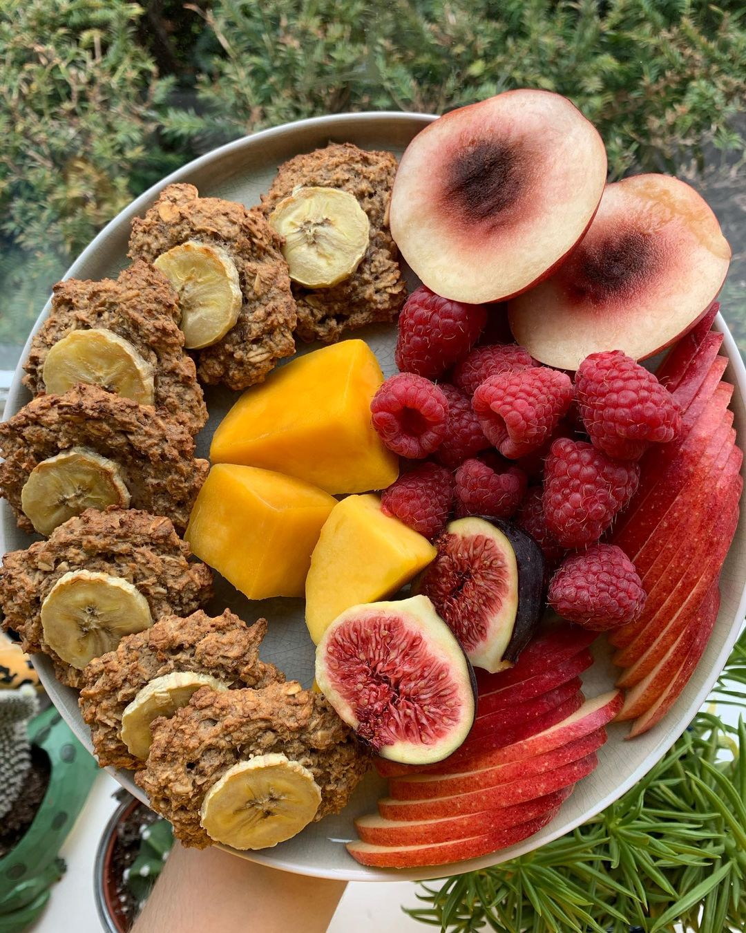 Biscoff Banana Oat Breakfast Cookies