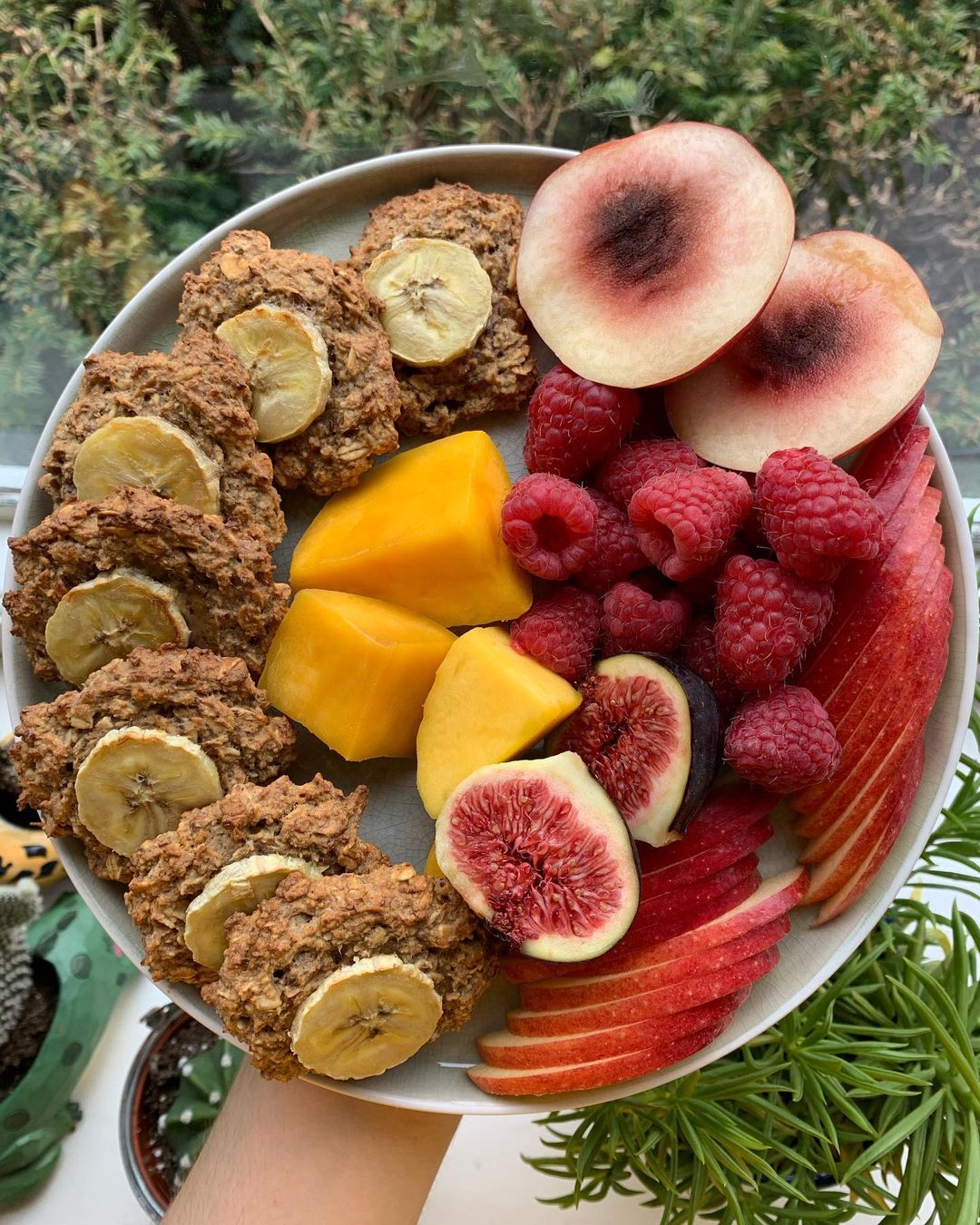 Biscoff Banana Oat Breakfast Cookies