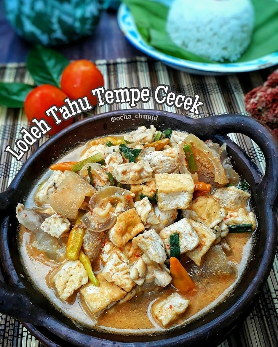 Indonesian Tofu Tempeh Beef Skin Stew
