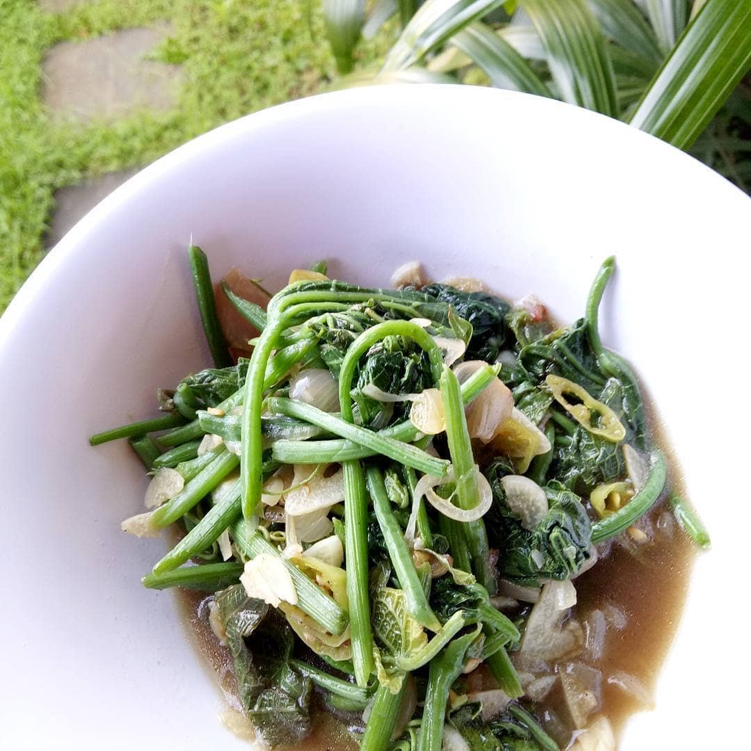 Simple Stir-Fried Pumpkin Shoots