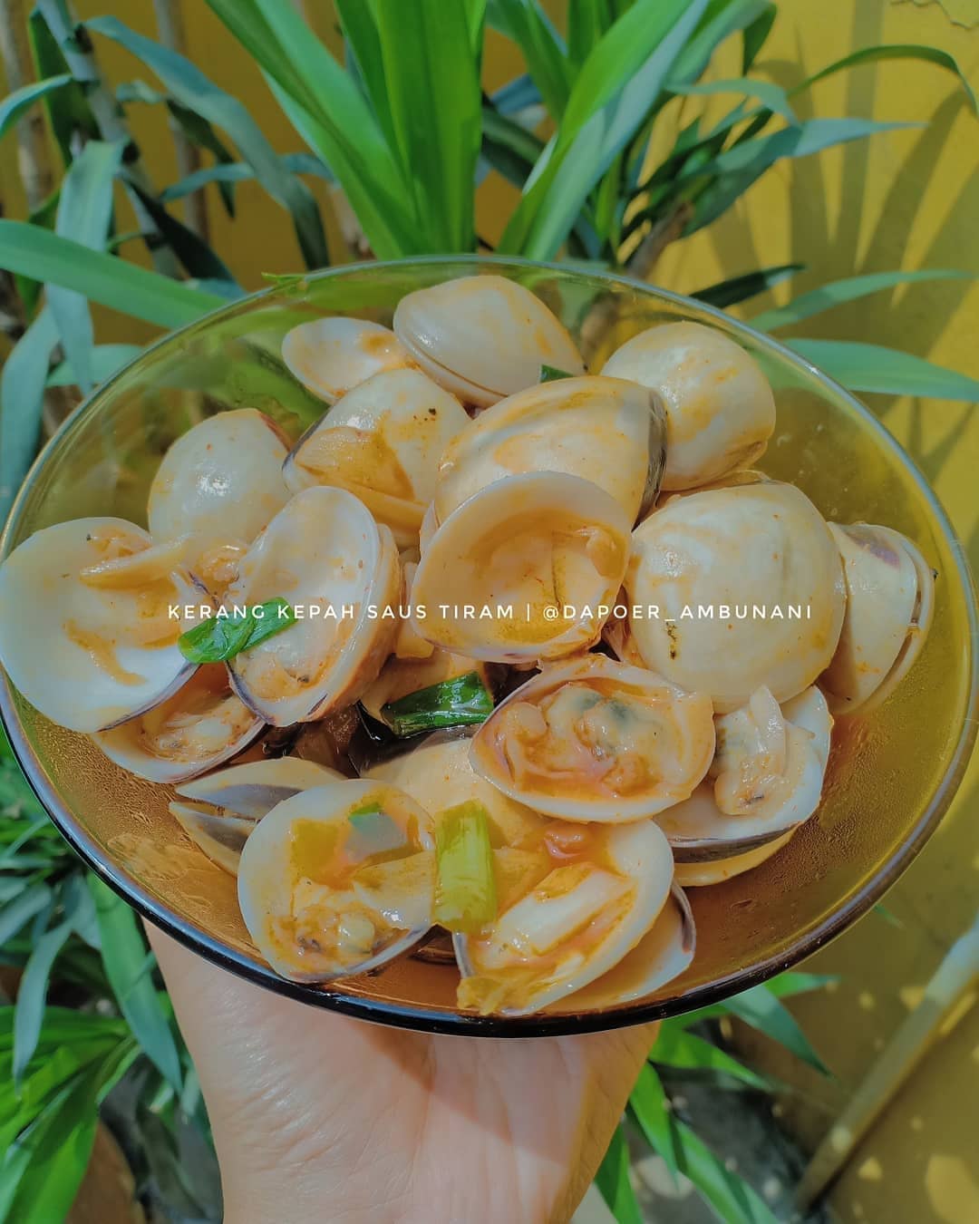 Clams in Oyster Sauce