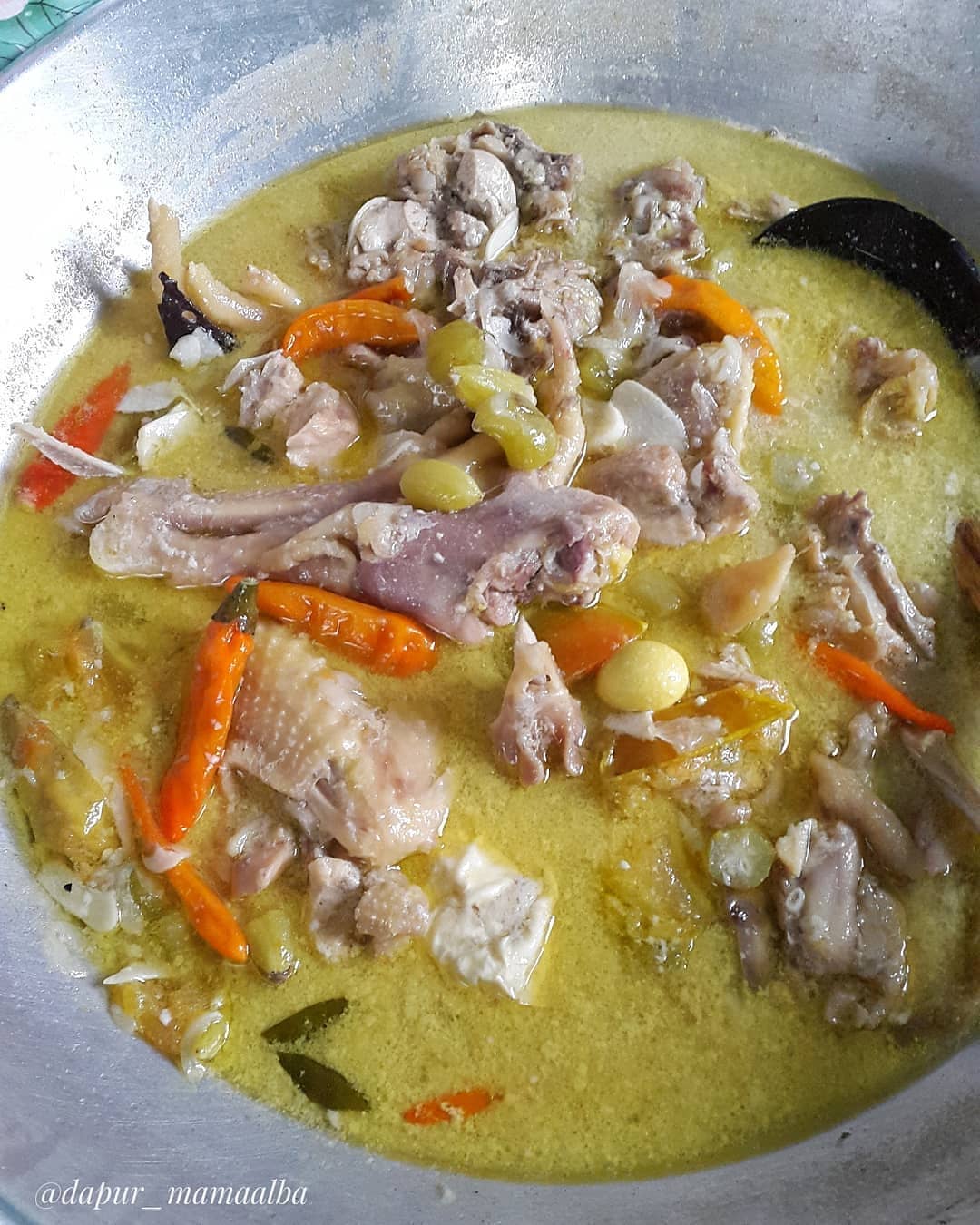Spicy Sour Chicken Soup