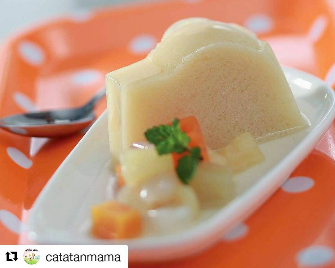 Soursop Fruit Agar Pudding