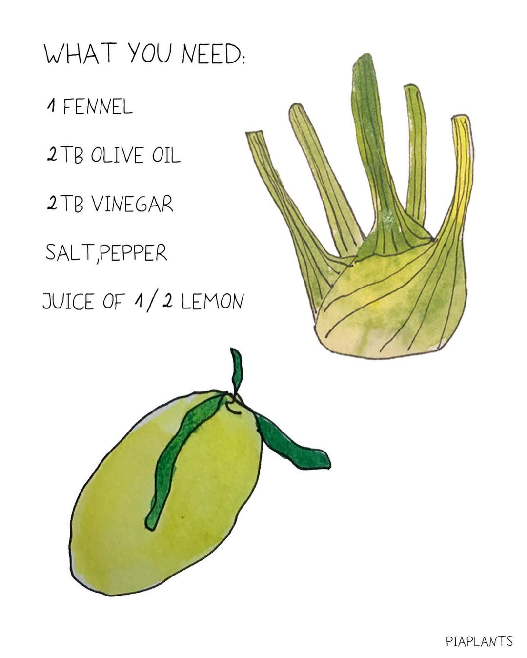 Simple Fennel Salad with Olive Oil Dressing