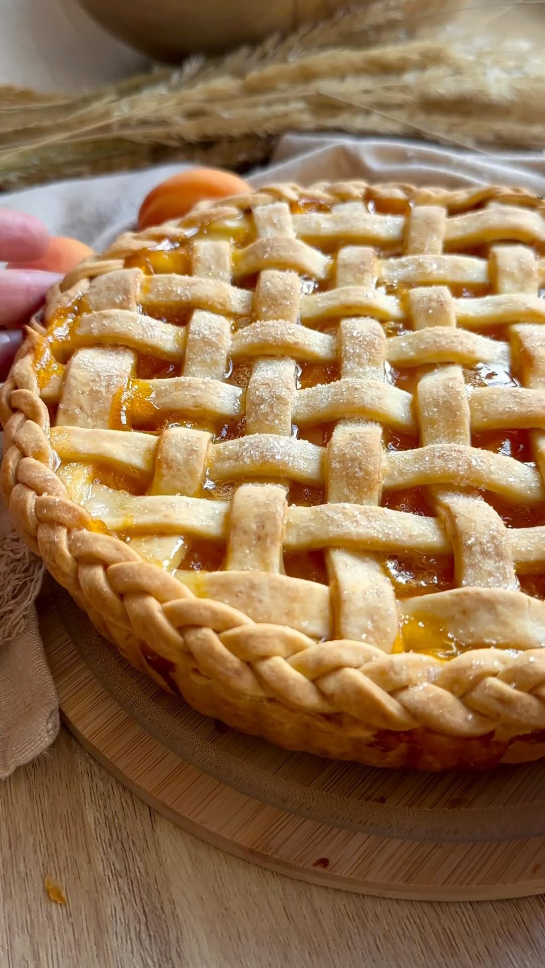 Apricot Pie with Buttery Crust