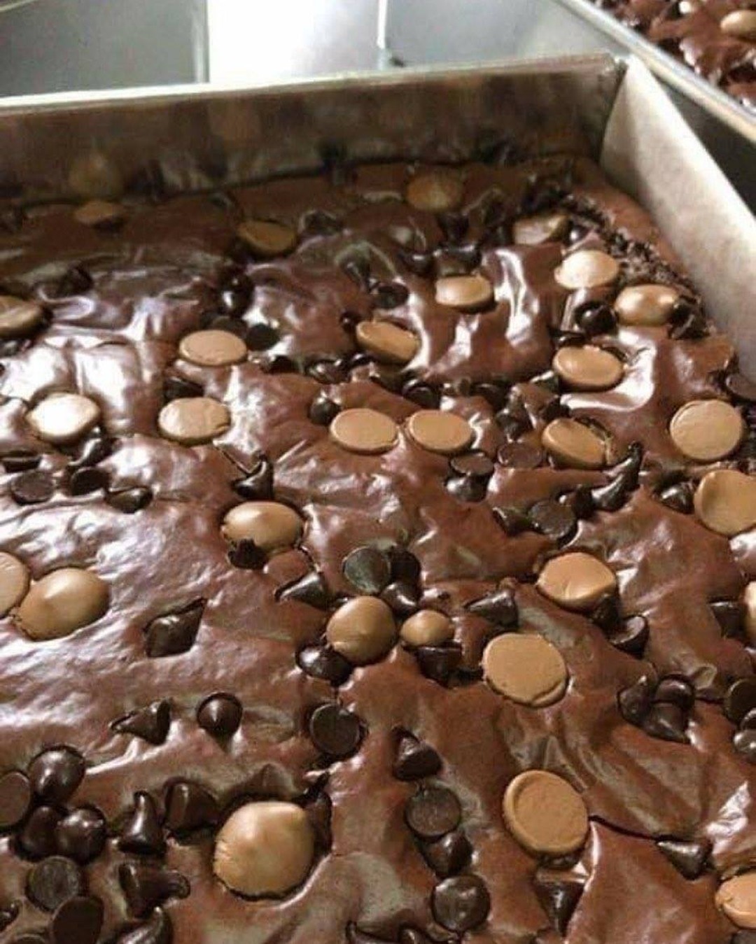 Classic Chocolate Brownies