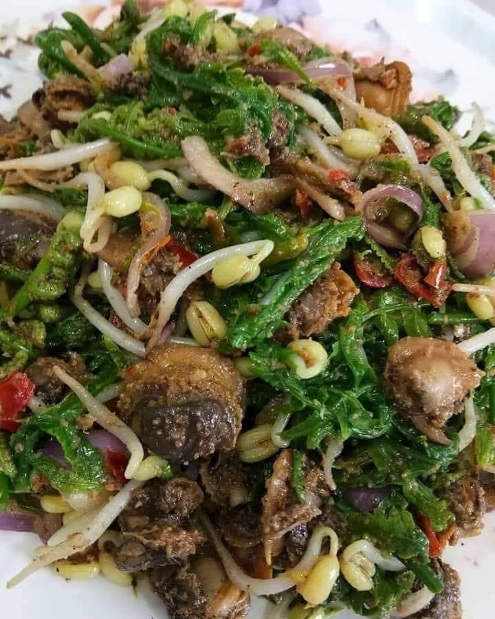 Fern Shoot and Clam Salad