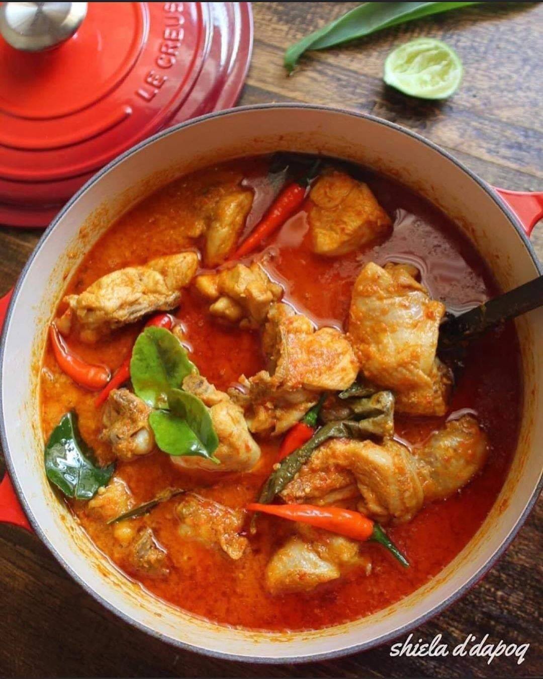Malaysian Chicken Kalio