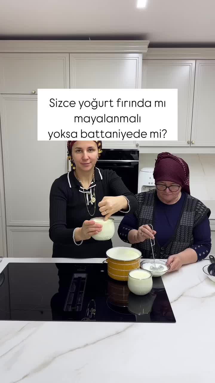 Firm Homemade Yogurt in Two Hours