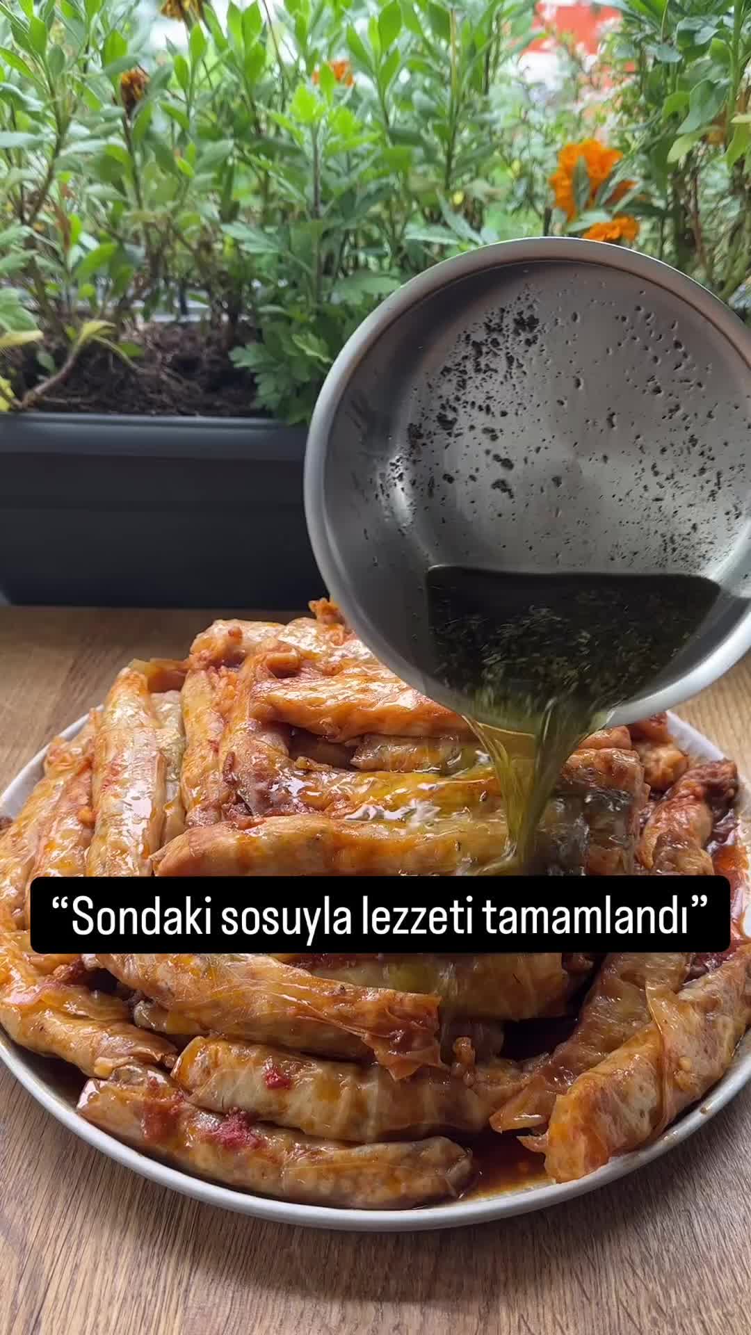 Stuffed White Cabbage Rolls