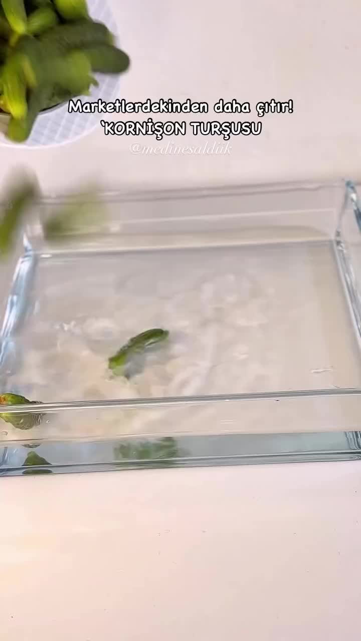 Homemade Gherkin Pickles in Vinegar
