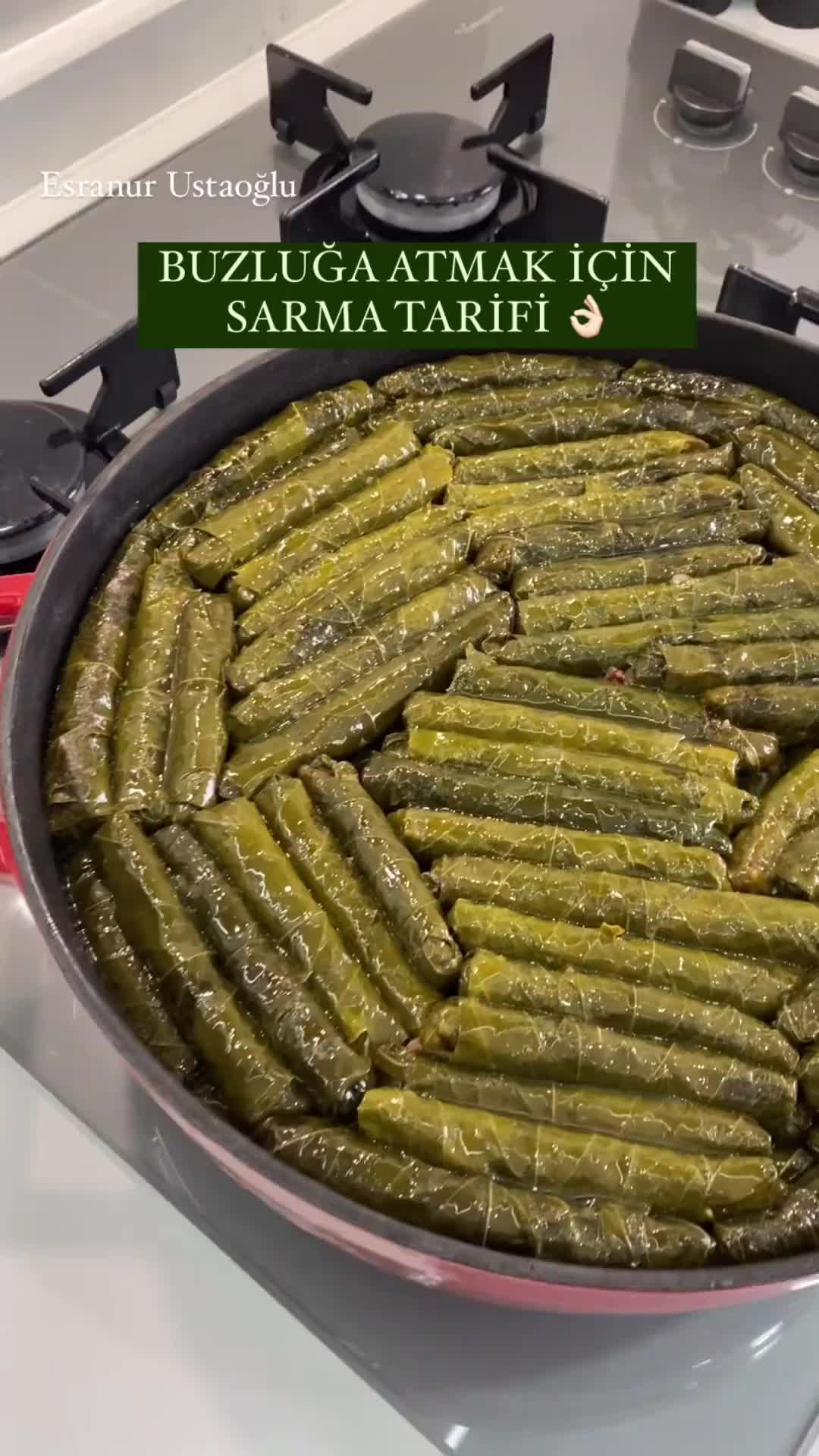 Turkish Olive Oil Stuffed Grape Leaves