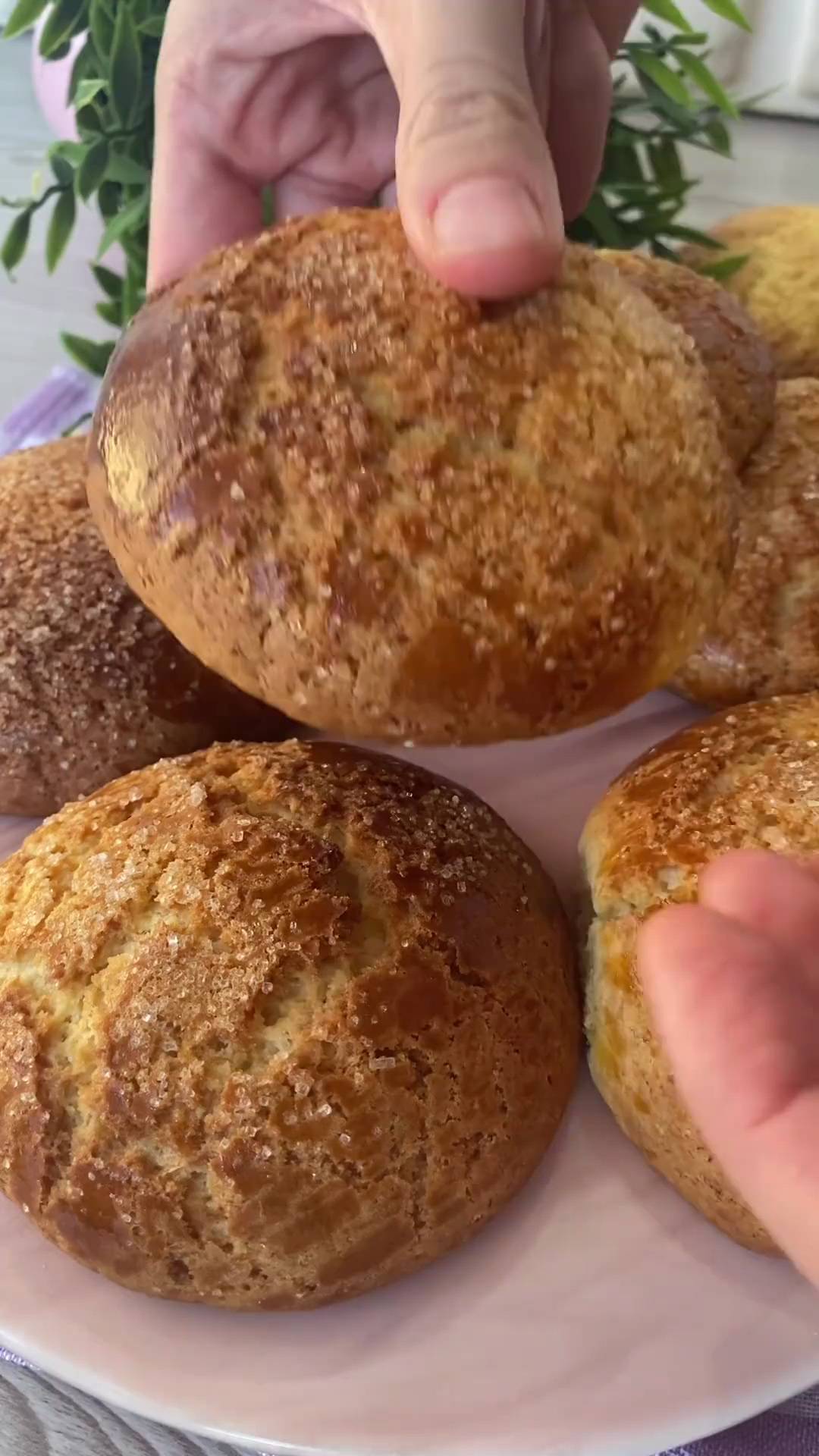 Traditional Turkish Mother's Cookies