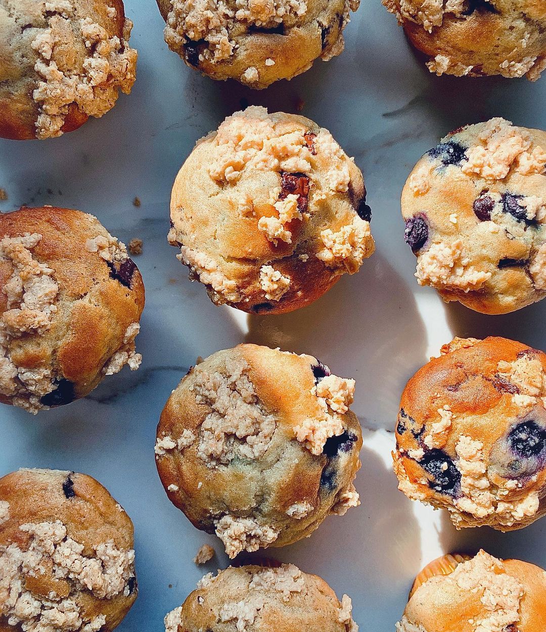 Chocolate Chip Blueberry Muffins