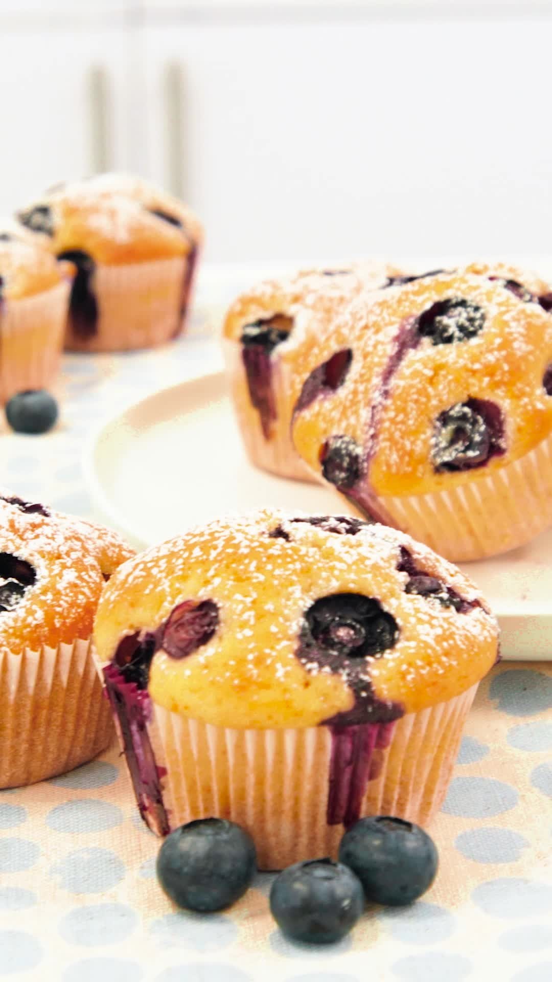 Moist Blueberry Yogurt Muffins for the Whole Family