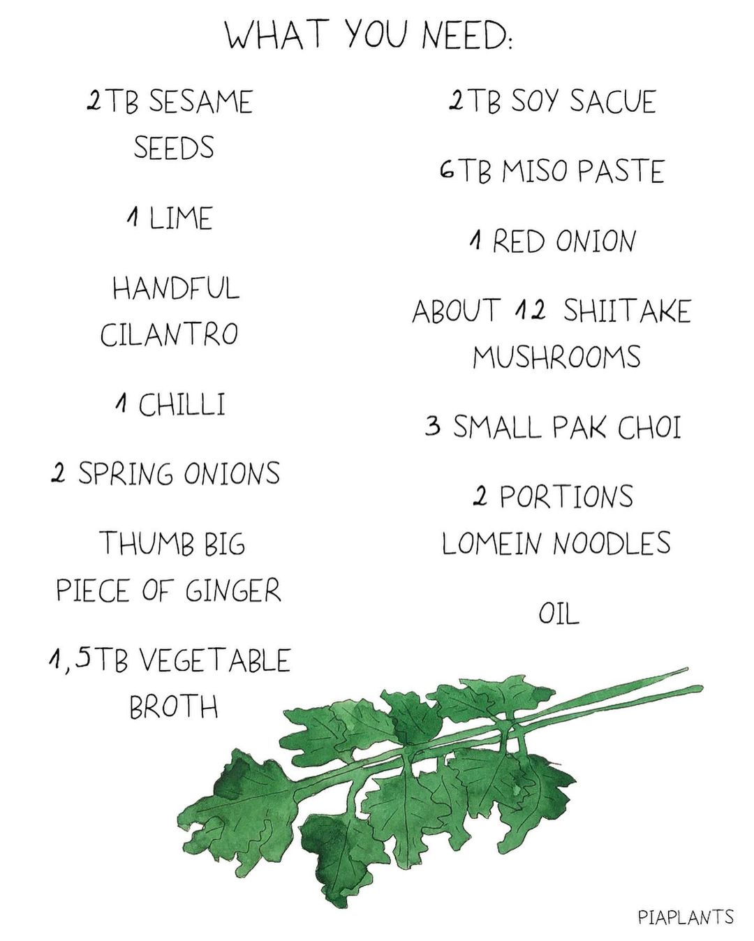 lo mein miso noodle soup
