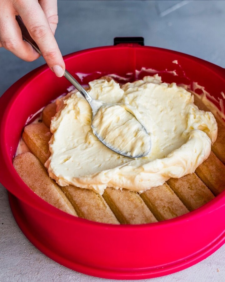 Classic German No Bake Malakoff Cake