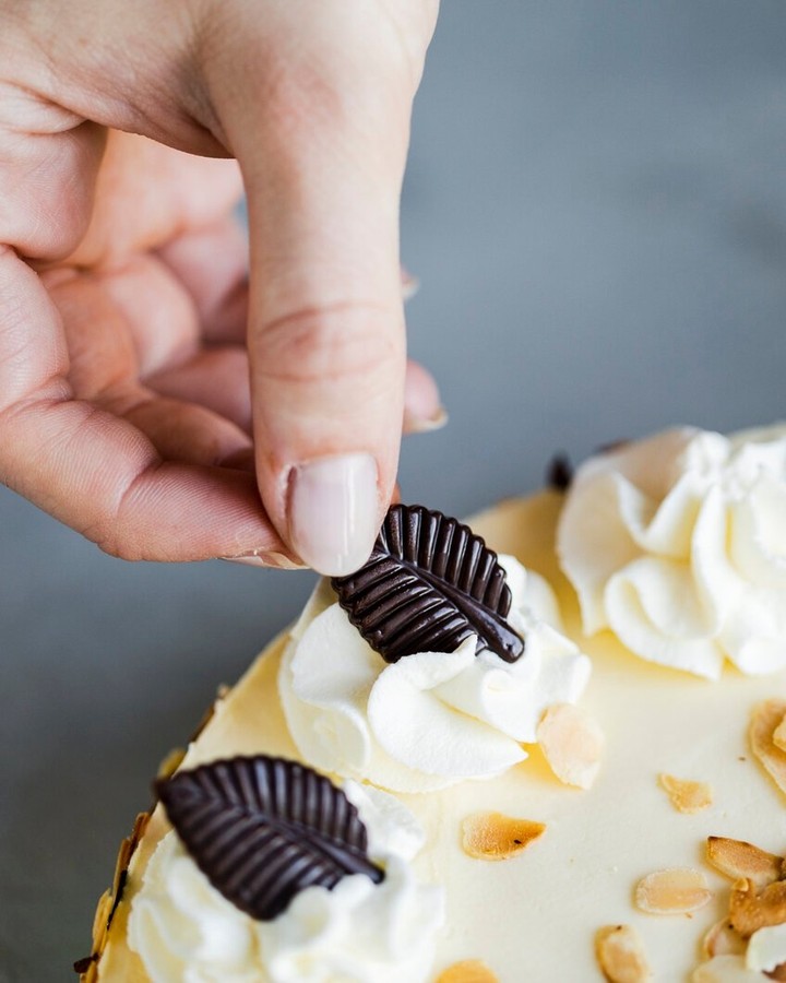 Classic German No Bake Malakoff Cake