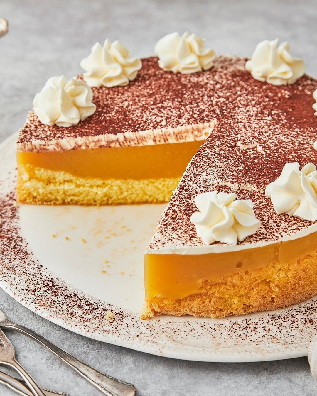 Apple Puree Cake with Vanilla Pudding Cream