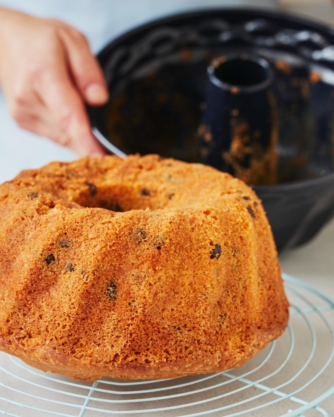 Classic Austrian Chocolate Chip Gugelhupf