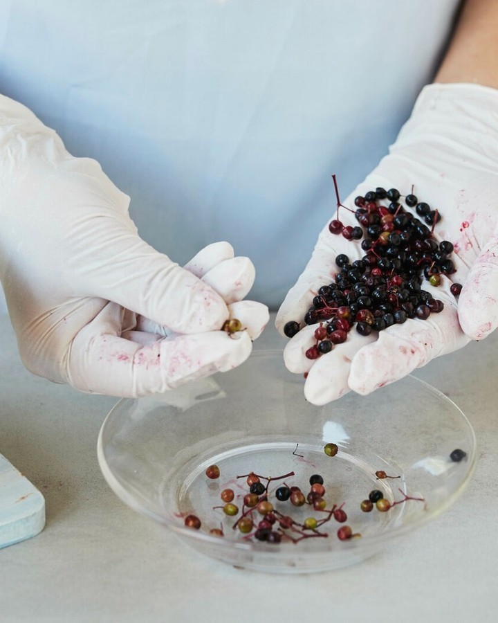 Traditional Elderberry Jam Like Grandma's