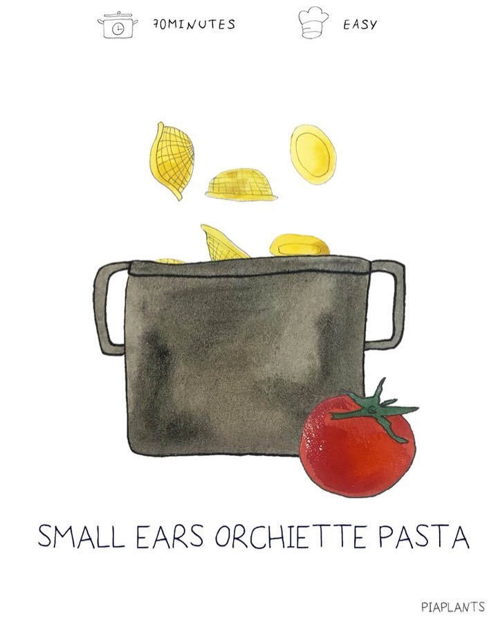 Homemade Orchiette Pasta with Basic Ingredients