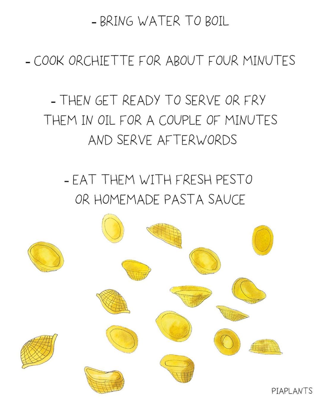 Homemade Orchiette Pasta with Basic Ingredients