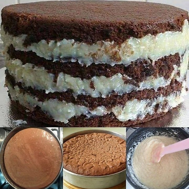 Brazilian Chocolate Coconut Sponge Cake