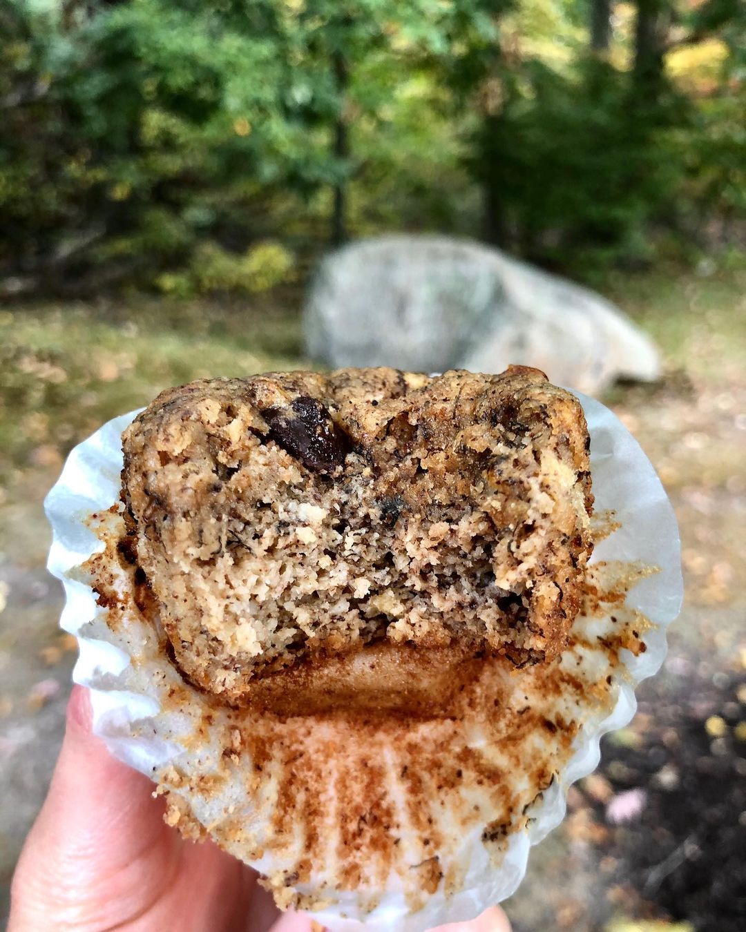 Easy banana chocolate chip muffins