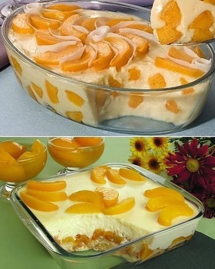 Peach Custard Dessert with Ice Cream
