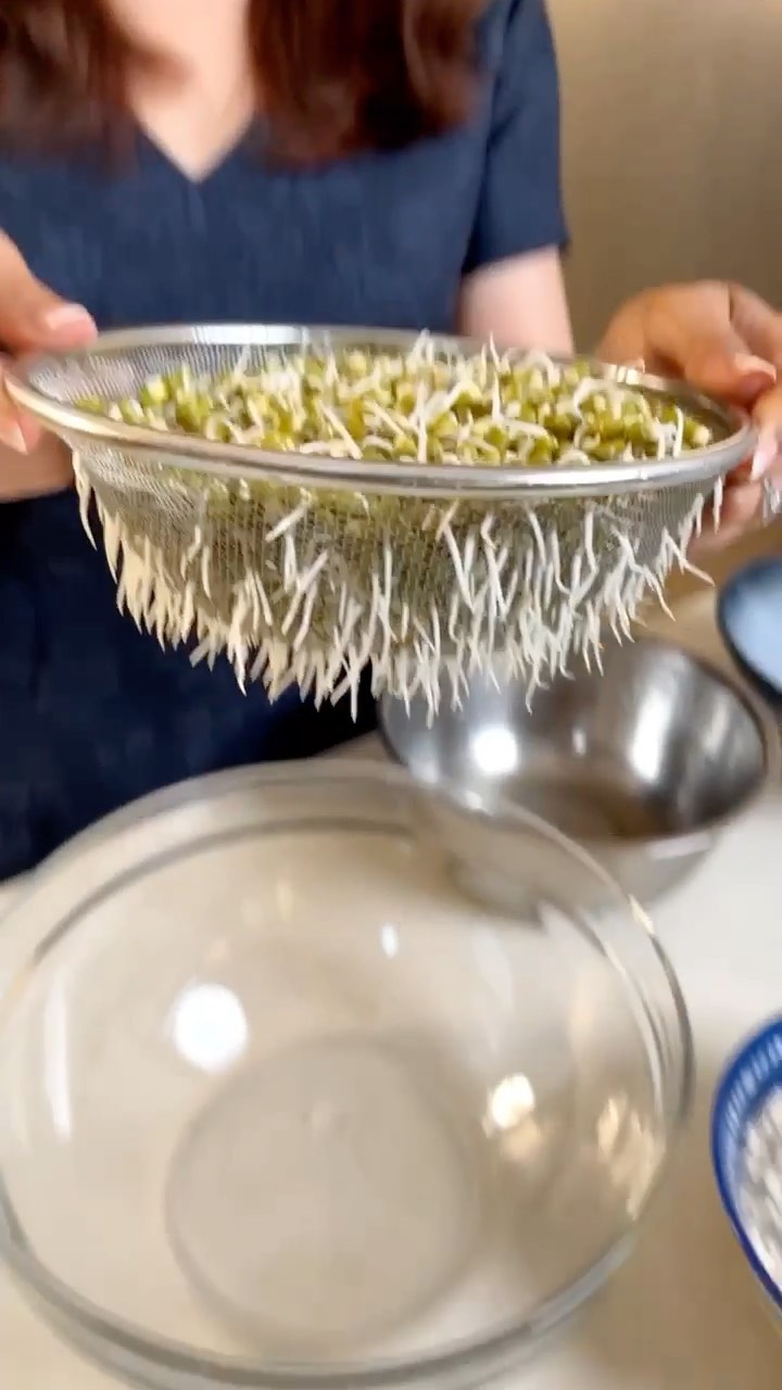 Healthy Indian Sprouted Moong Paratha