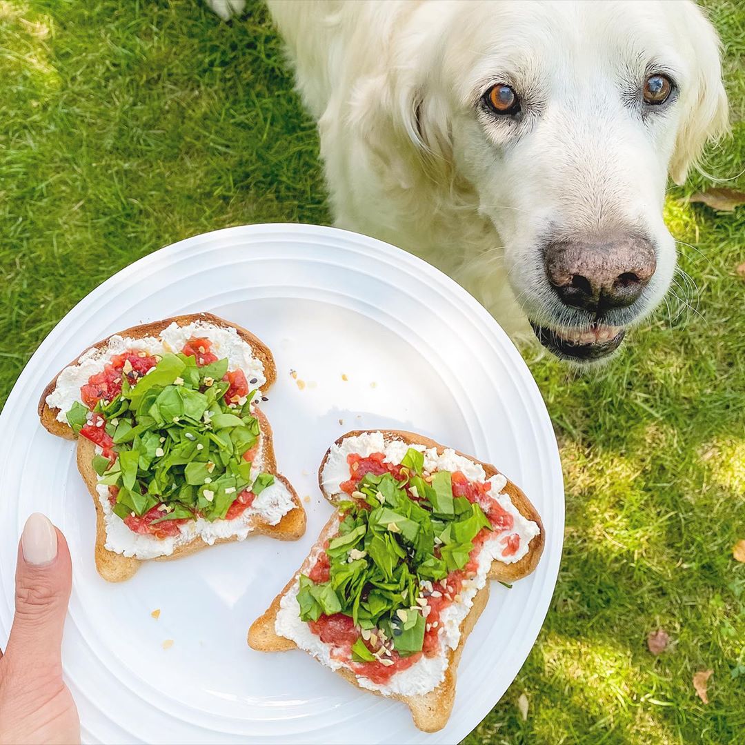 Herbed Tomato Ricotta Toast