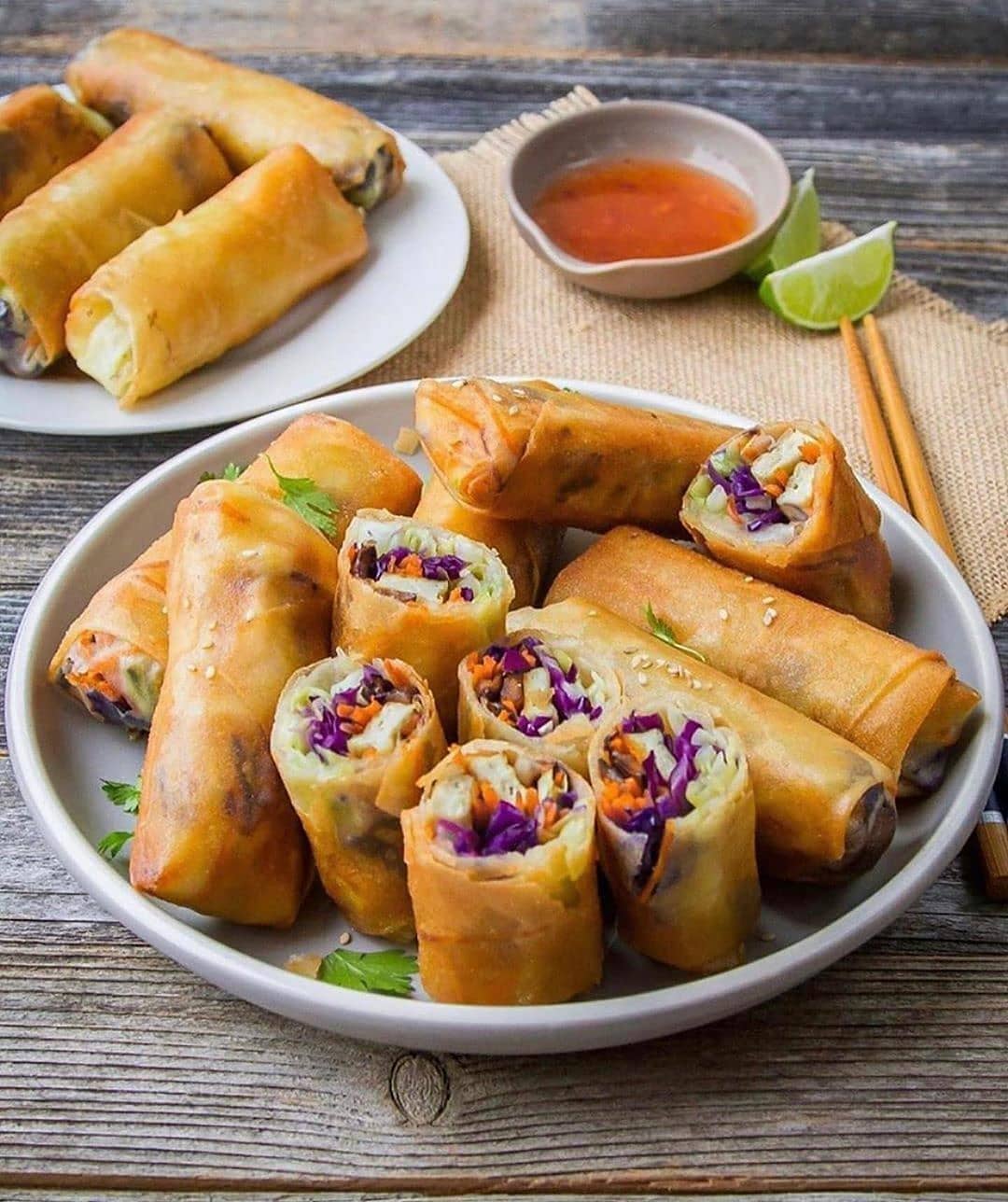 Golden Brown Crispy Spring Rolls