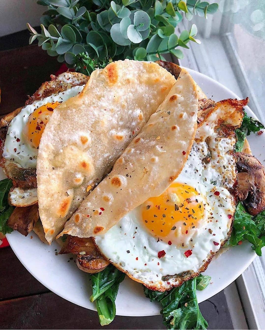Cassava Flour Tortillas