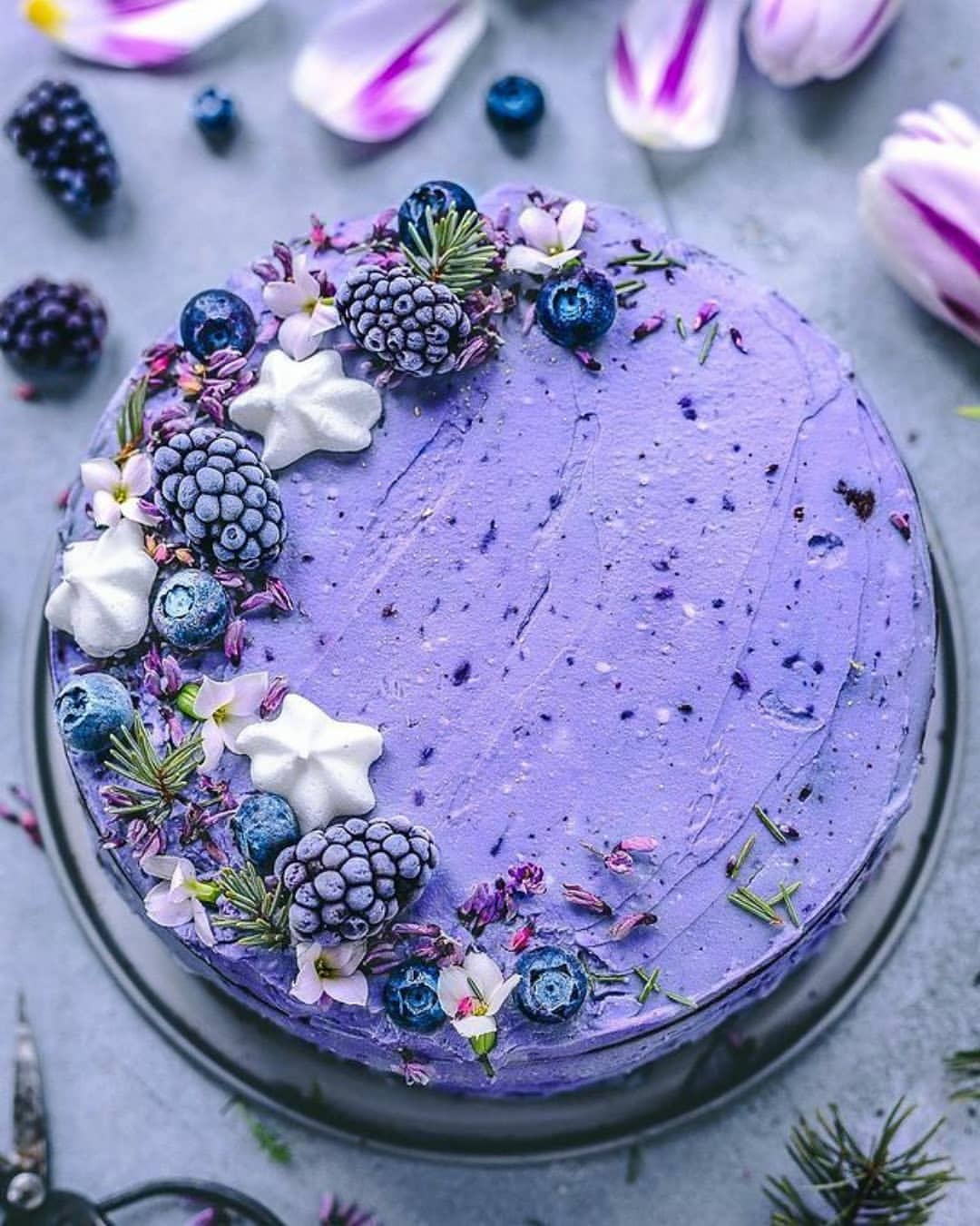 Chocolate Zucchini Cake with Wild Blueberry Frosting