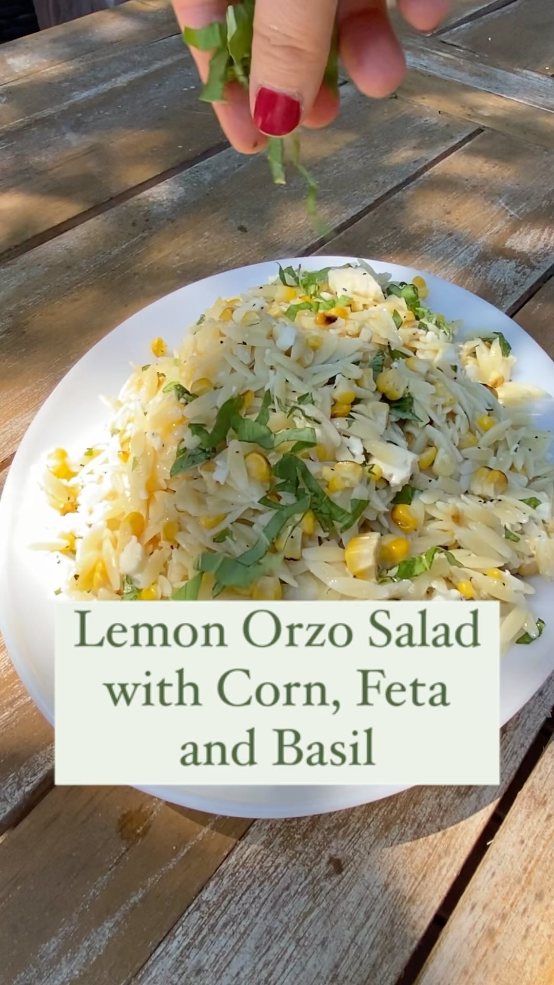 Lemon Orzo Pasta Salad with Feta and Basil