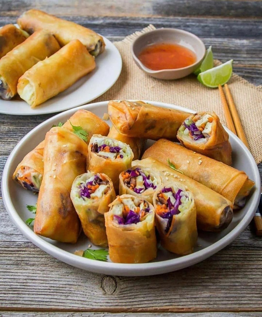 Vegan Crispy Spring Rolls with Tofu and Vegetables