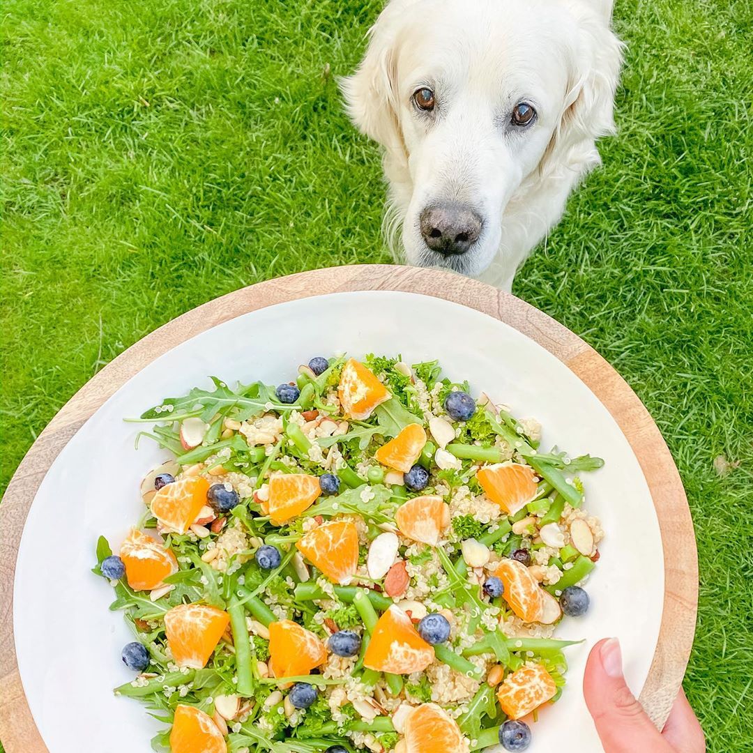 Green Bean Quinoa Salad