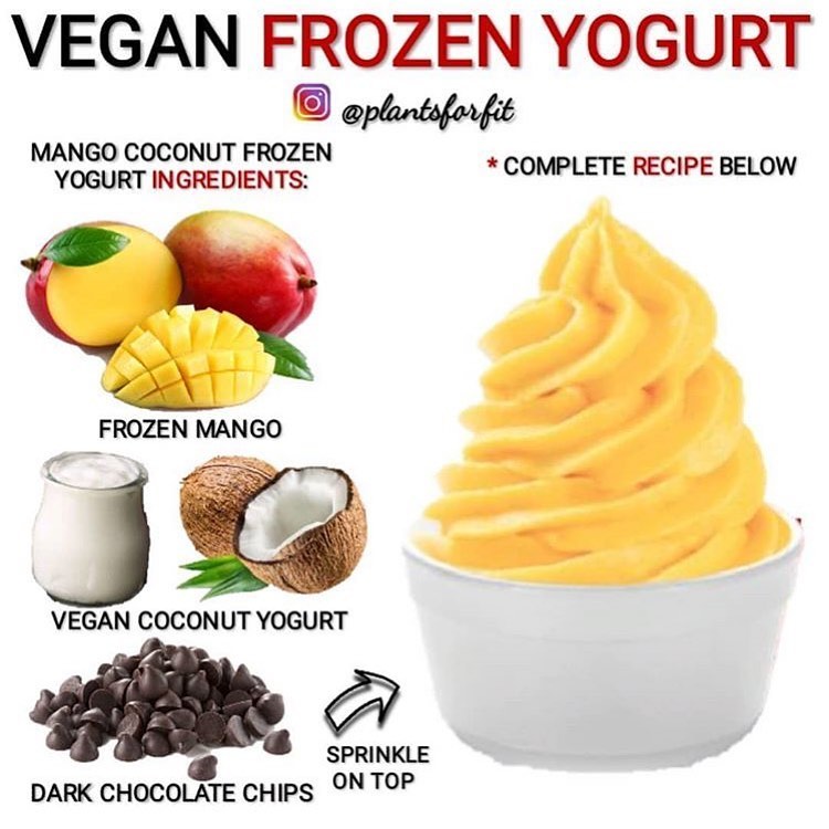 Easy Vegan Frozen Yogurt with Mango and Chocolate