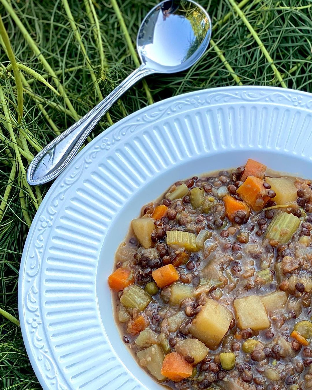 Vegan Lentil Stew with Herbs and Vegetables