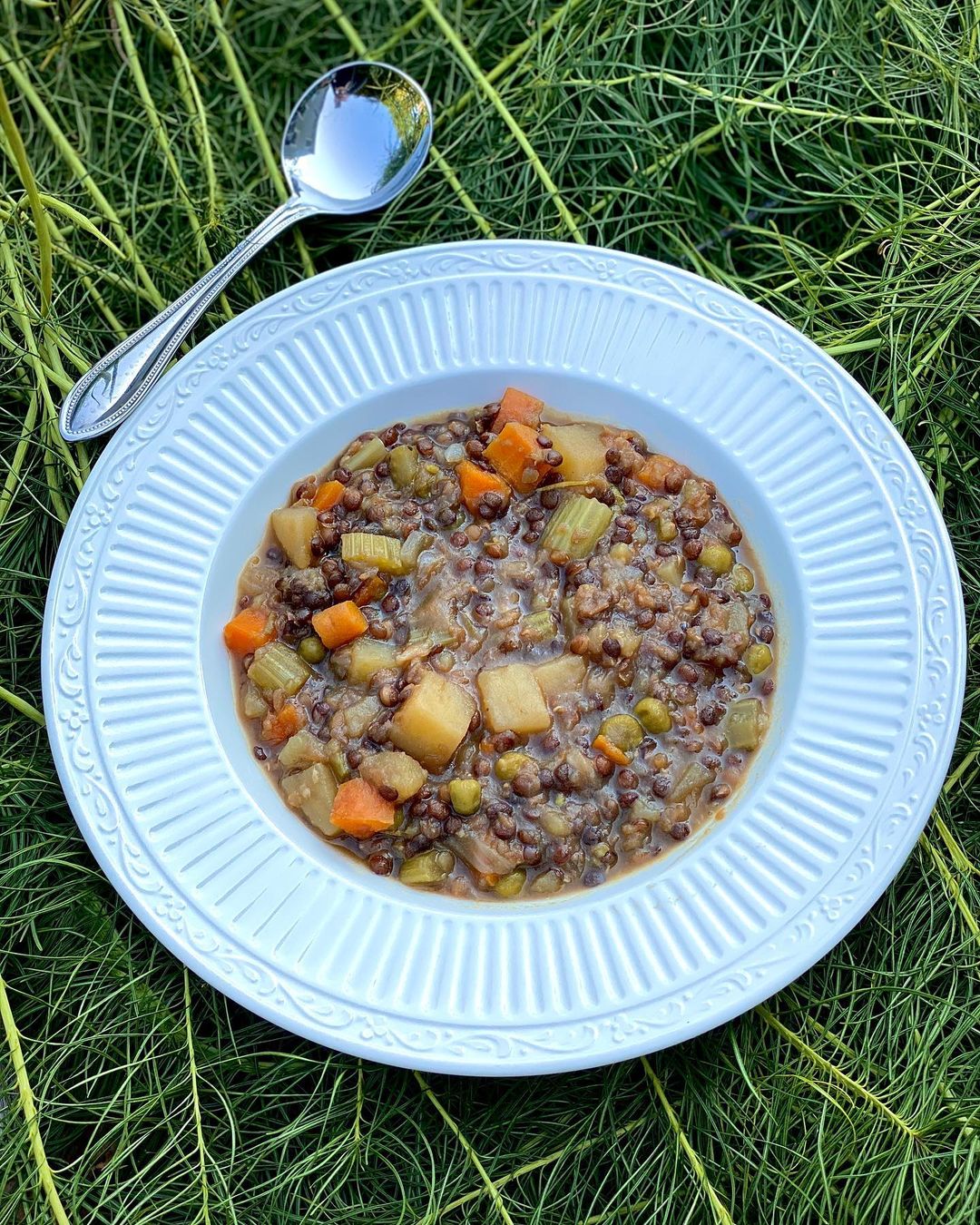 Vegan Lentil Stew with Herbs and Vegetables