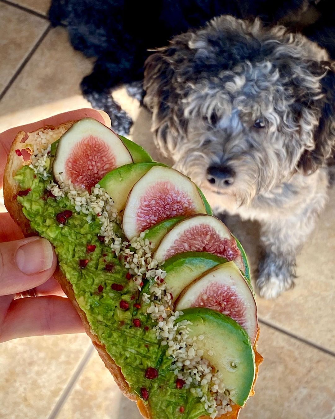 Avocado Toast with Figs and Hemp Hearts