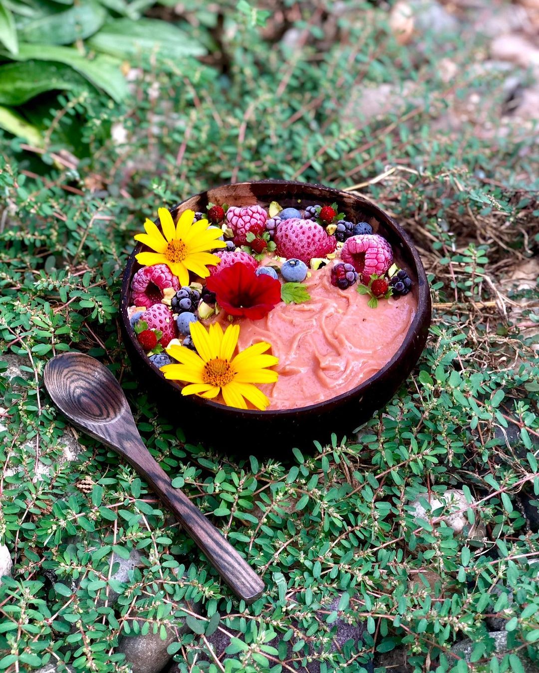 Cauliflower Banana Mango Smoothie Bowl