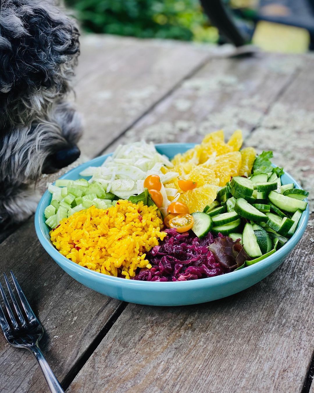 Rainbow  Salads
