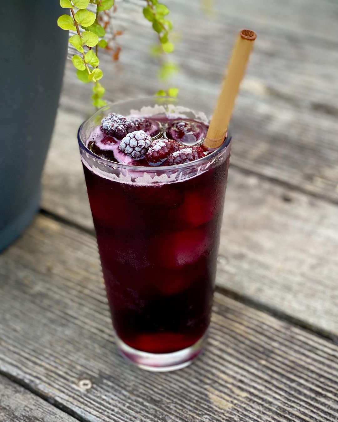 Red Wine and Kombucha Cocktail